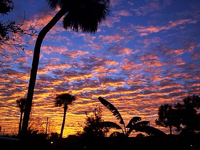 Florida Sunrise